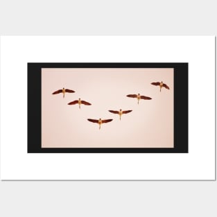 Geese Flying In 'V' Formation Posters and Art